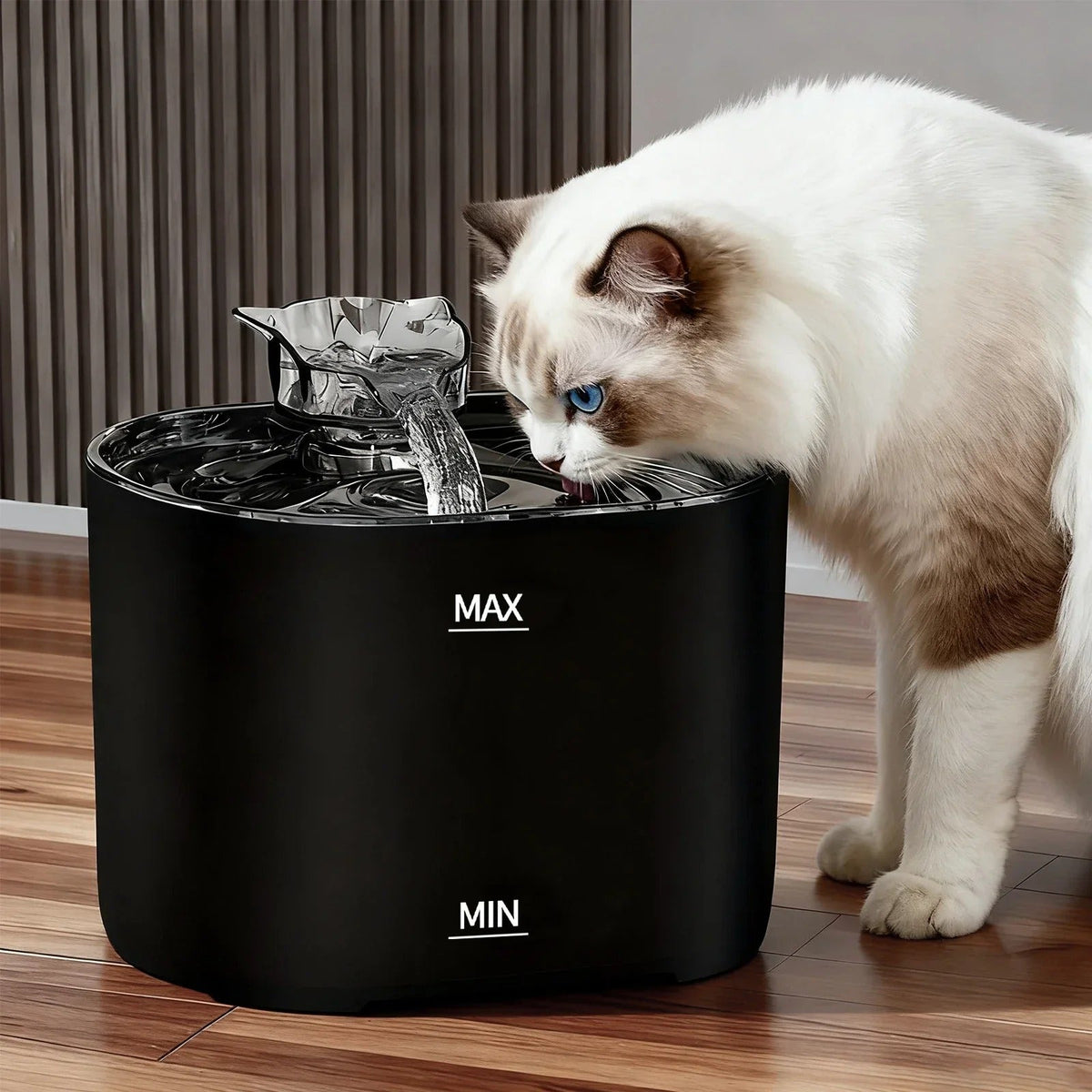 Cat drinking from the black 2.2L cat water fountain