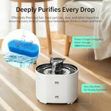 Cotton filter pad, water reserve and non-slip base