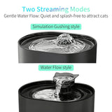 Two flow modes: bubbling spring and gentle stream