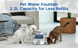 Cats drinking from the water fountain at home