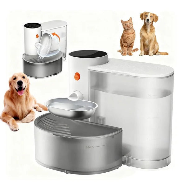 Cordless self-refilling pet water bowl with stainless steel bowl