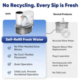 Fresh refilled water compared with a recirculating pet fountain